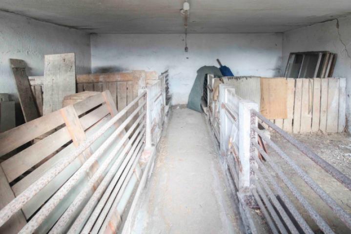 Schweinestall