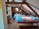 DG Altbau