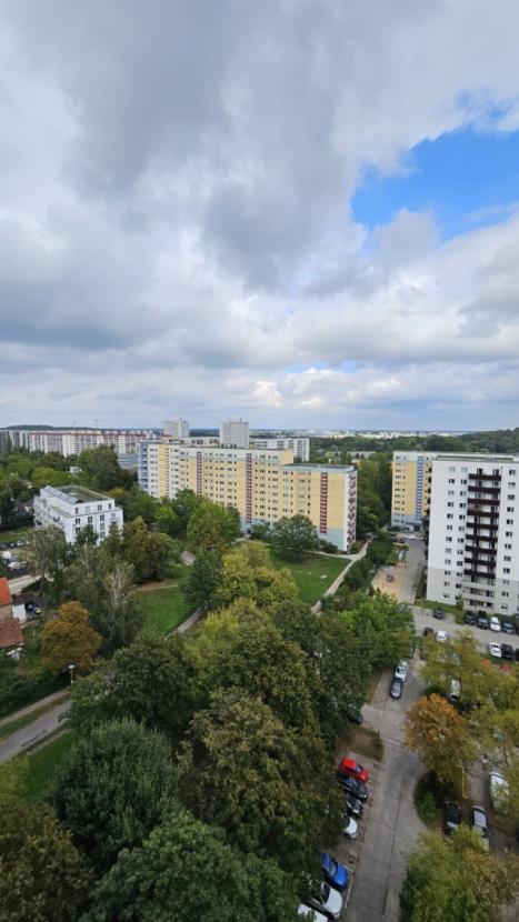 Ausblick