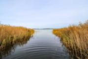 Zugang zum Bodden