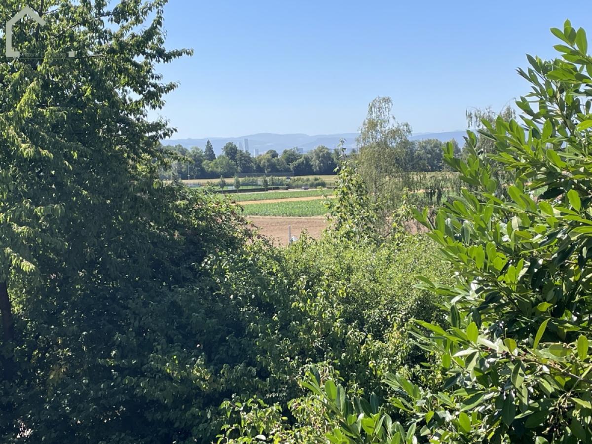 Ausblick