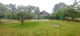 Foto3