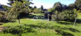Foto6