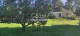 Foto7