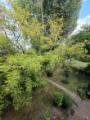 Ausblick vom Balkon
