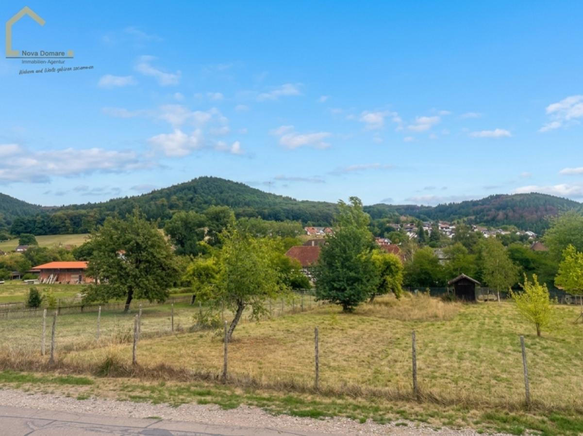 Wunderbarer Ausblick vom Kinderzimmer/Büro 