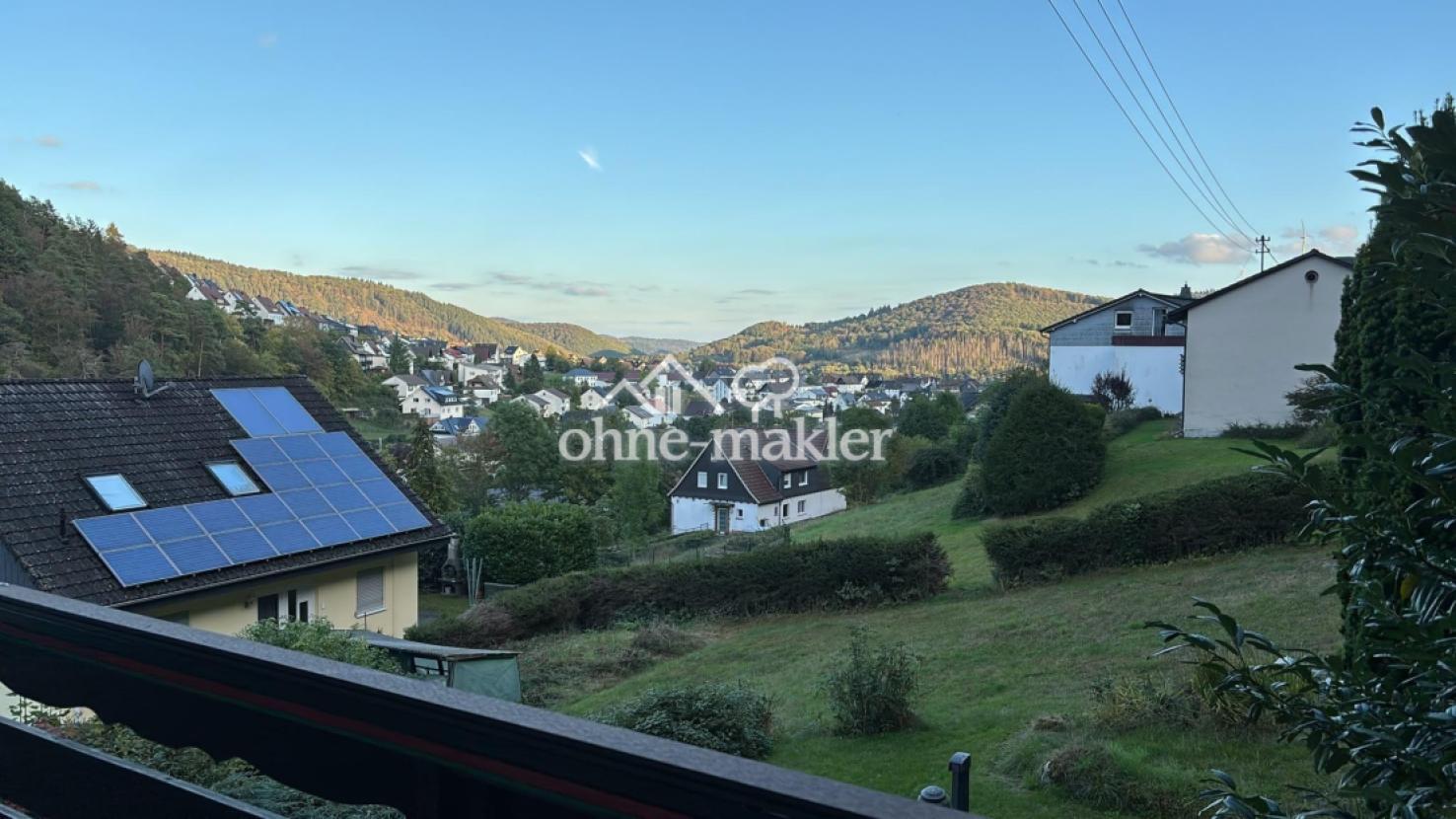 Blick vom Balkon über Wallau