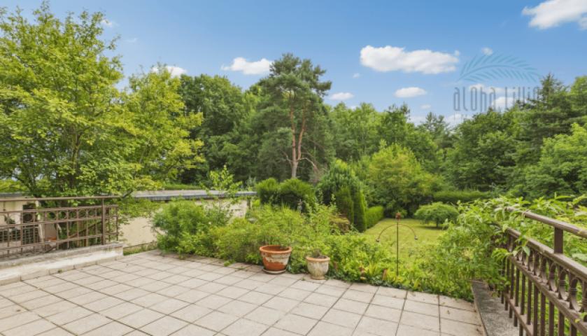 Blick in den Garten