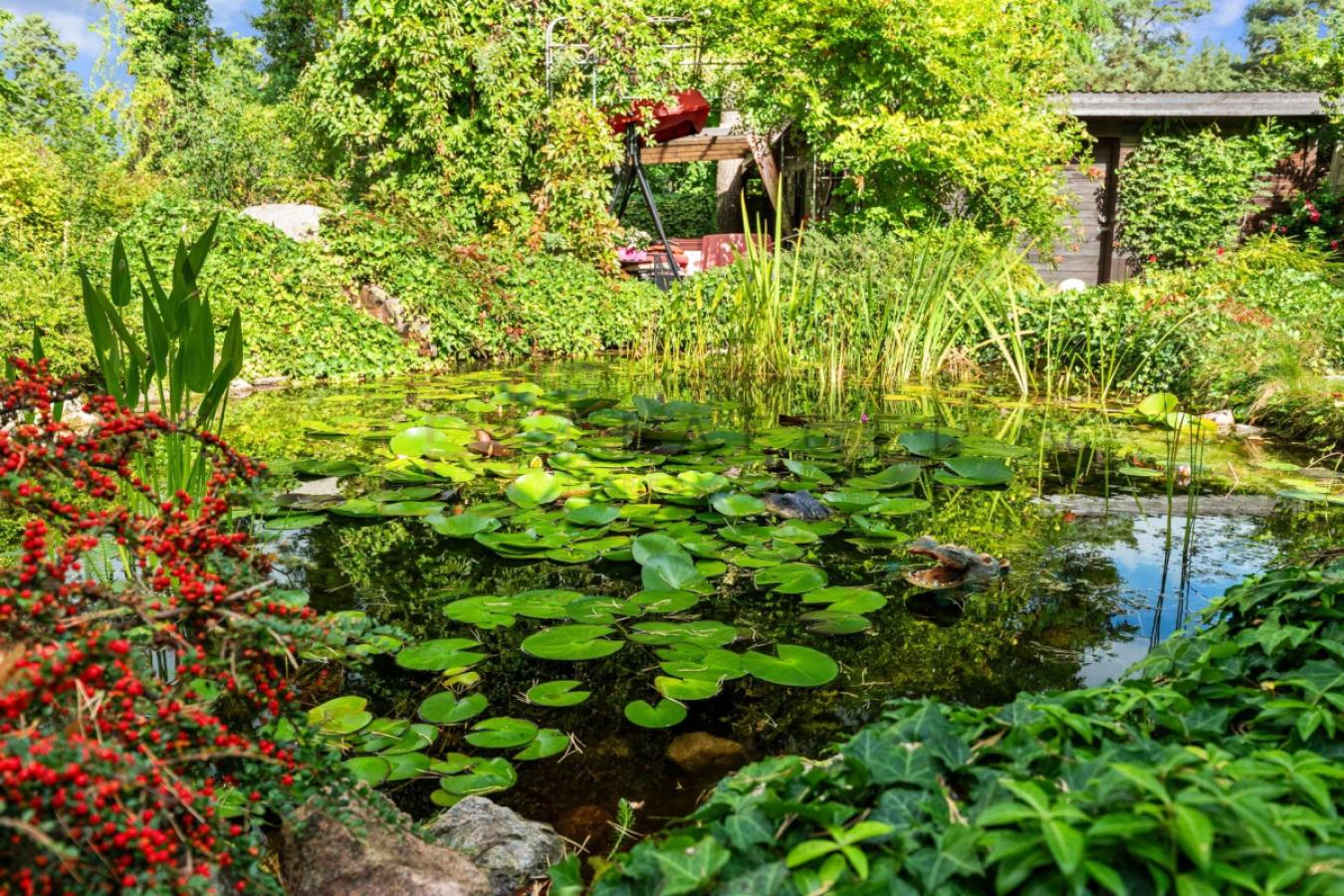 Gartenteich