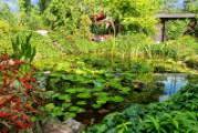 Gartenteich
