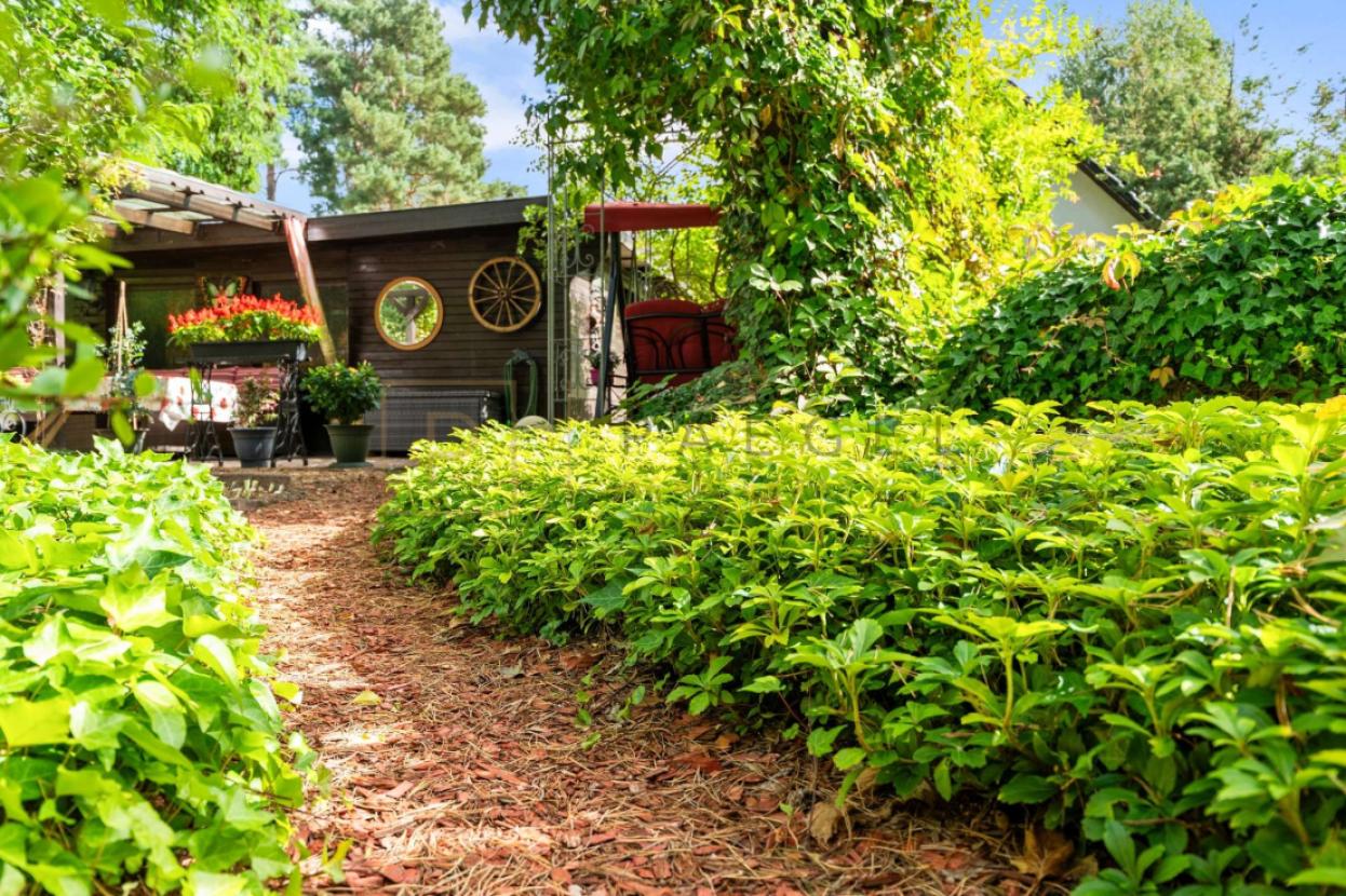 Garten