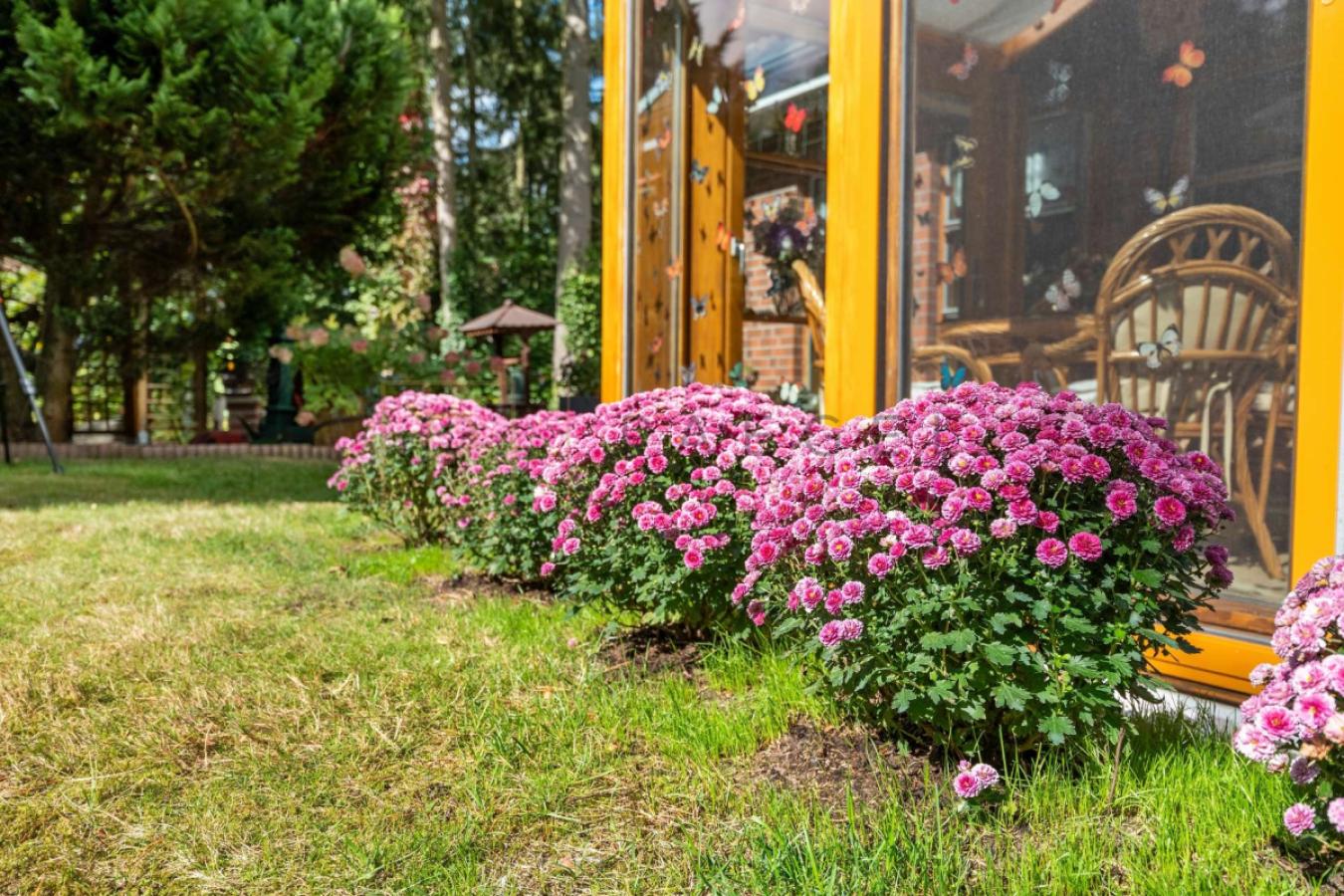 Garten