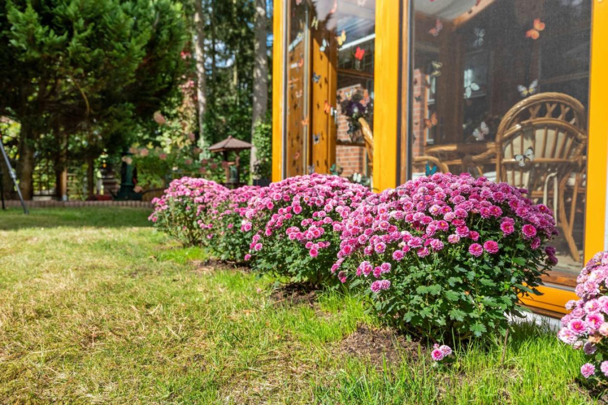 Garten