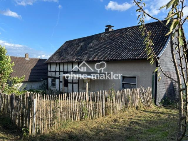 Rückansicht Garage/Garten
