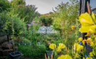 Teich und Gartenhaus Ostseite