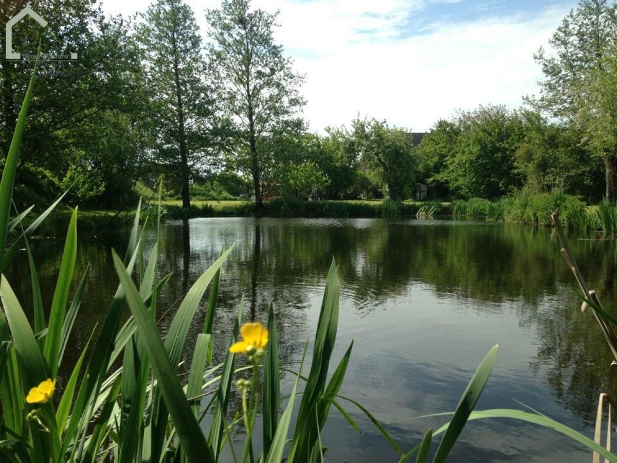 Schwimmteich