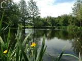Schwimmteich