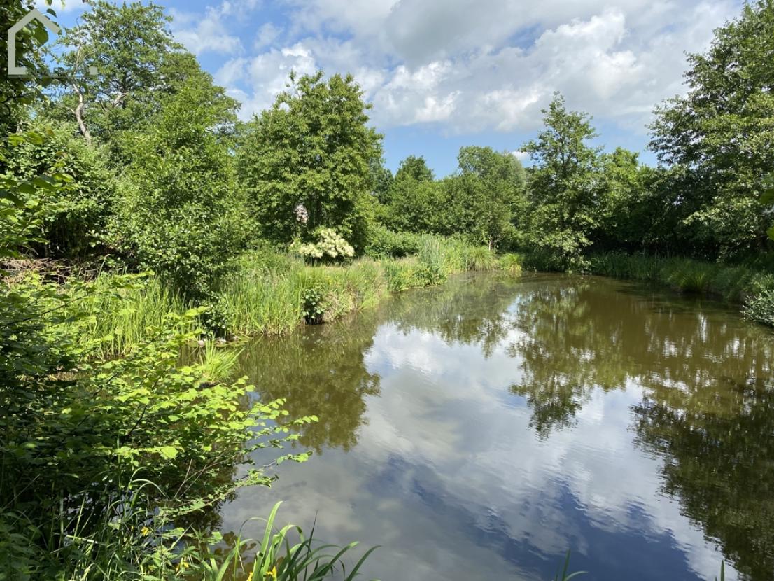 Teich