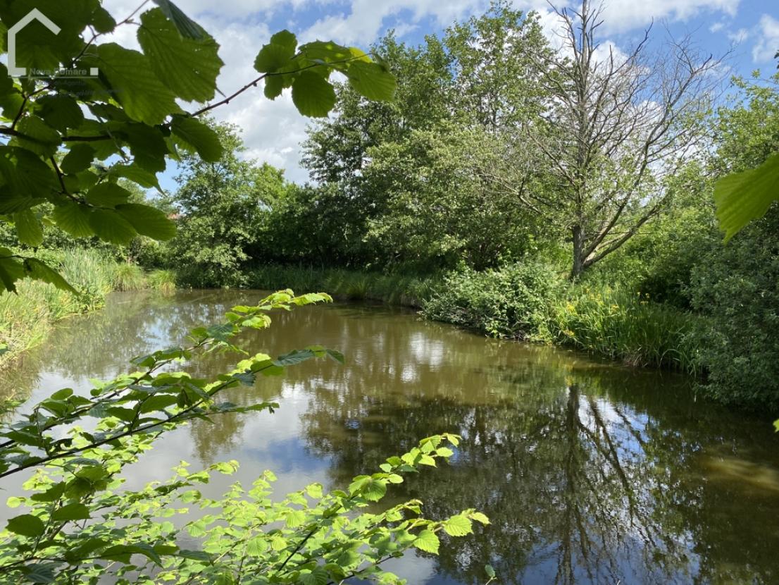 Teich