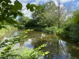 Teich