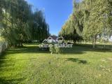Ausblick Garten