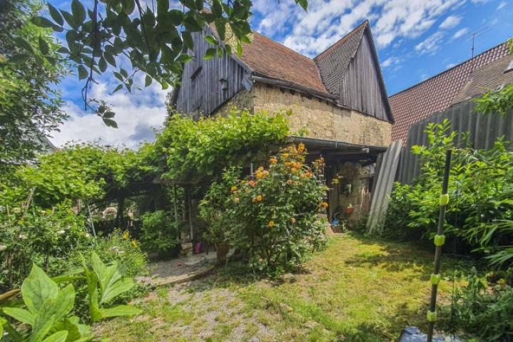 Garten im Sommer
