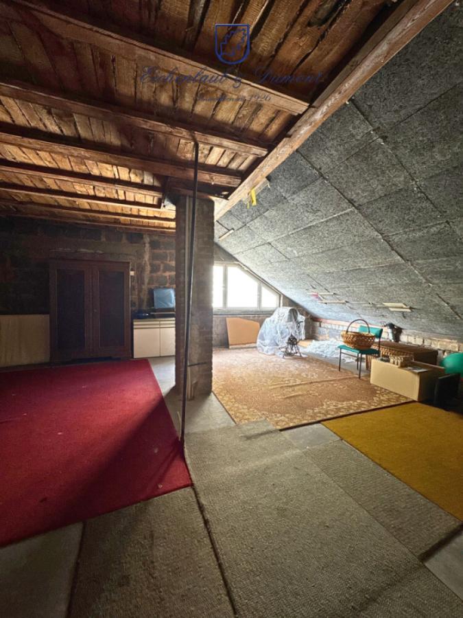 Zimmer 1 DG