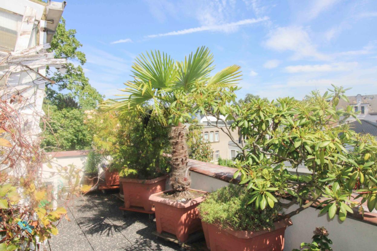DG_Dachterrasse