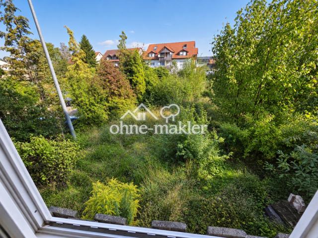 Blick auf den Garten im Sommer