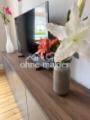 49 Zoll Smart TV