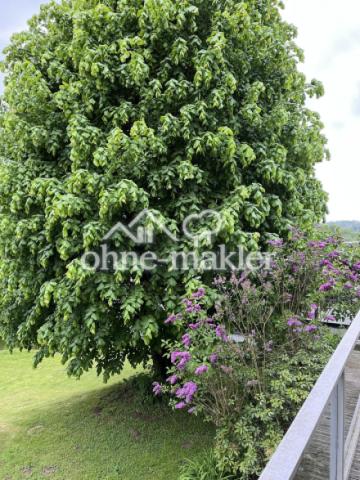 Blick vom Balkon