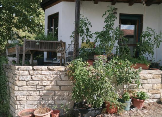 Garten