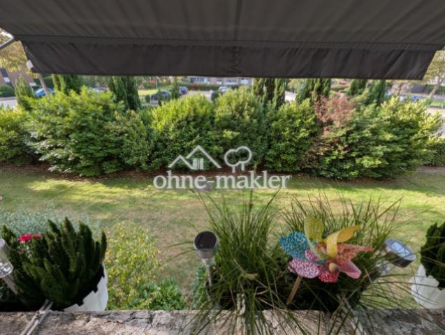 Blick in den Garten