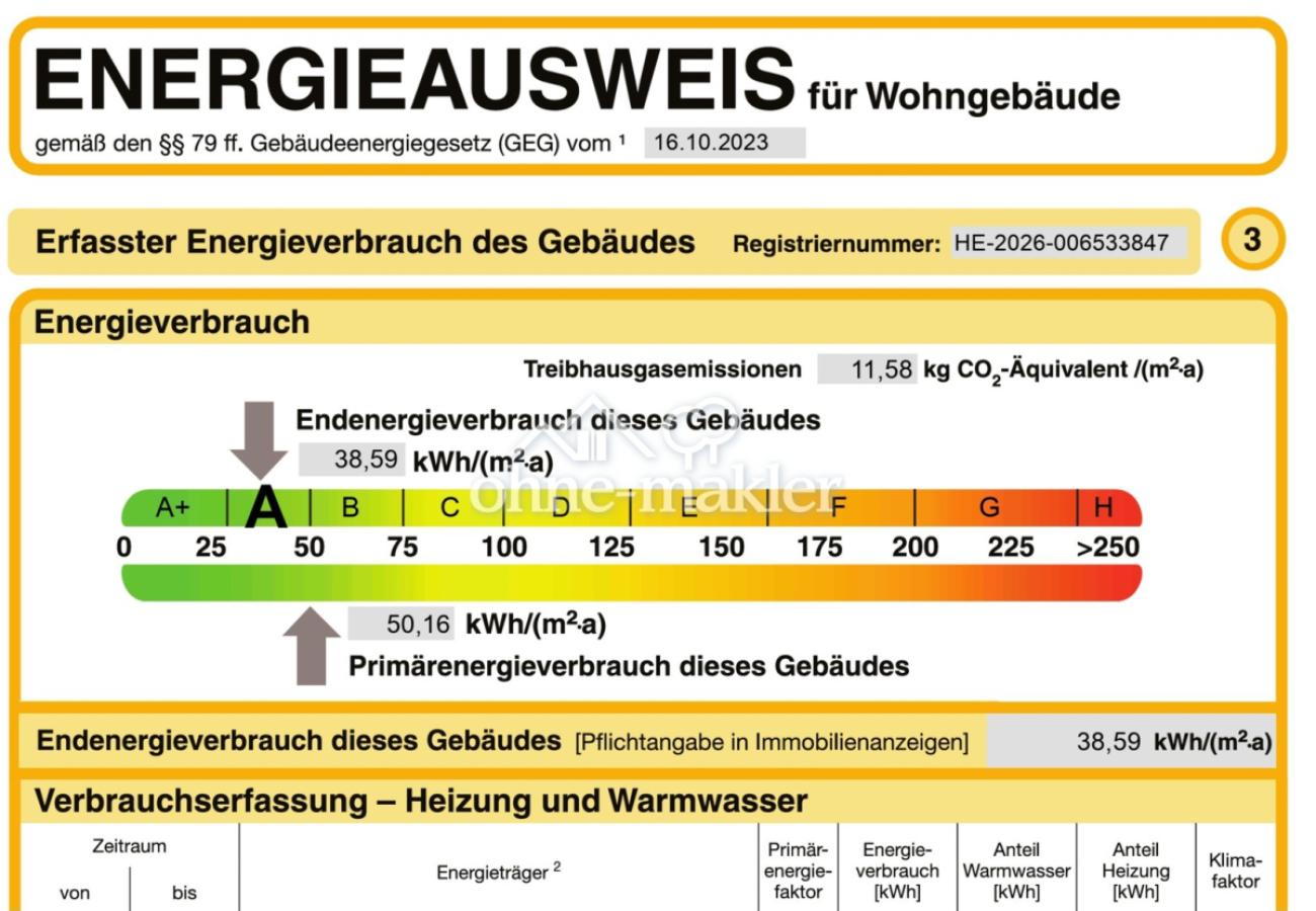 Energieausweis (Auszug)