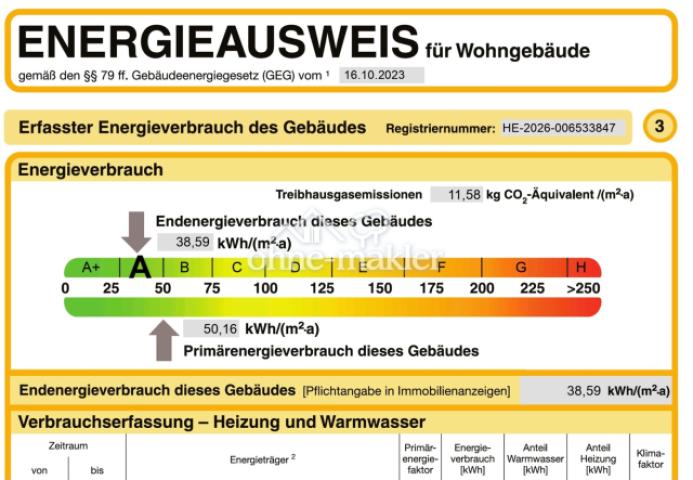 Energieausweis (Auszug)