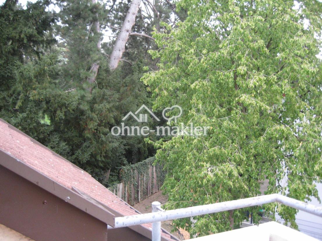 Aussicht vom Balkon