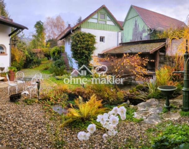 Blick in den Garten