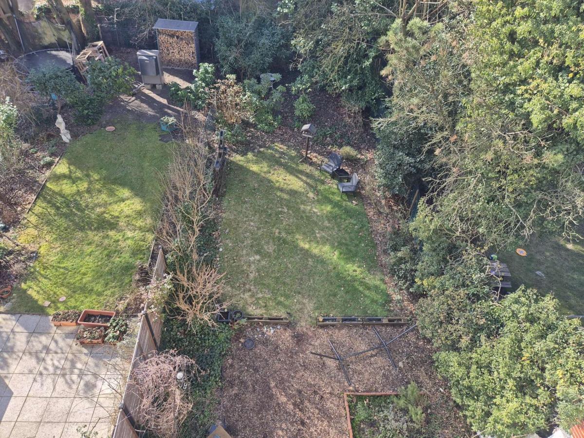 Gartenansicht DG