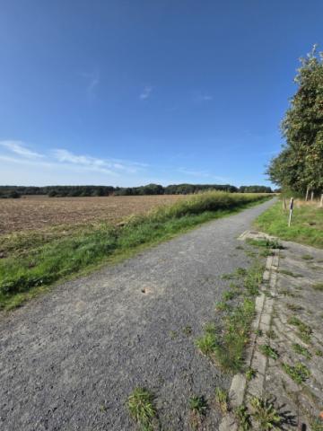 Spazierweg hinterm Haus