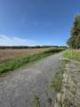 Spazierweg hinterm Haus