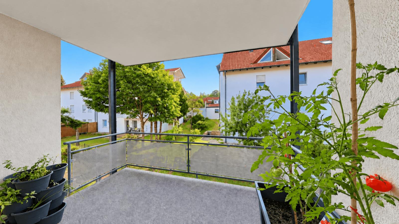 Balkon mit Tomatenpflanzen und Stadtblick-1