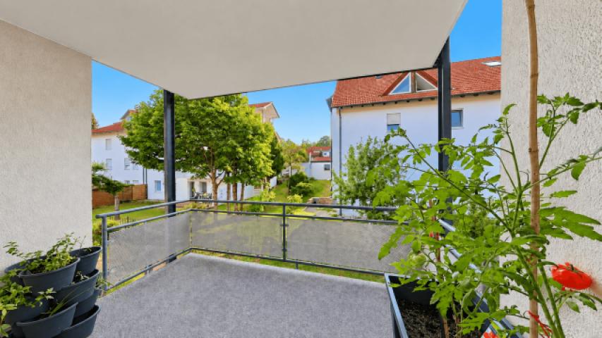 Balkon mit Tomatenpflanzen und Stadtblick-1