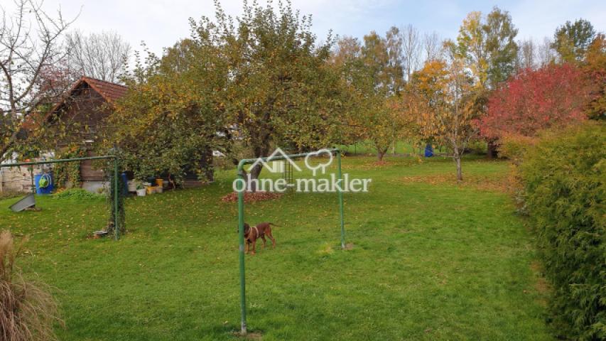 Blick in den Garten