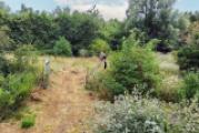 Gartenansicht