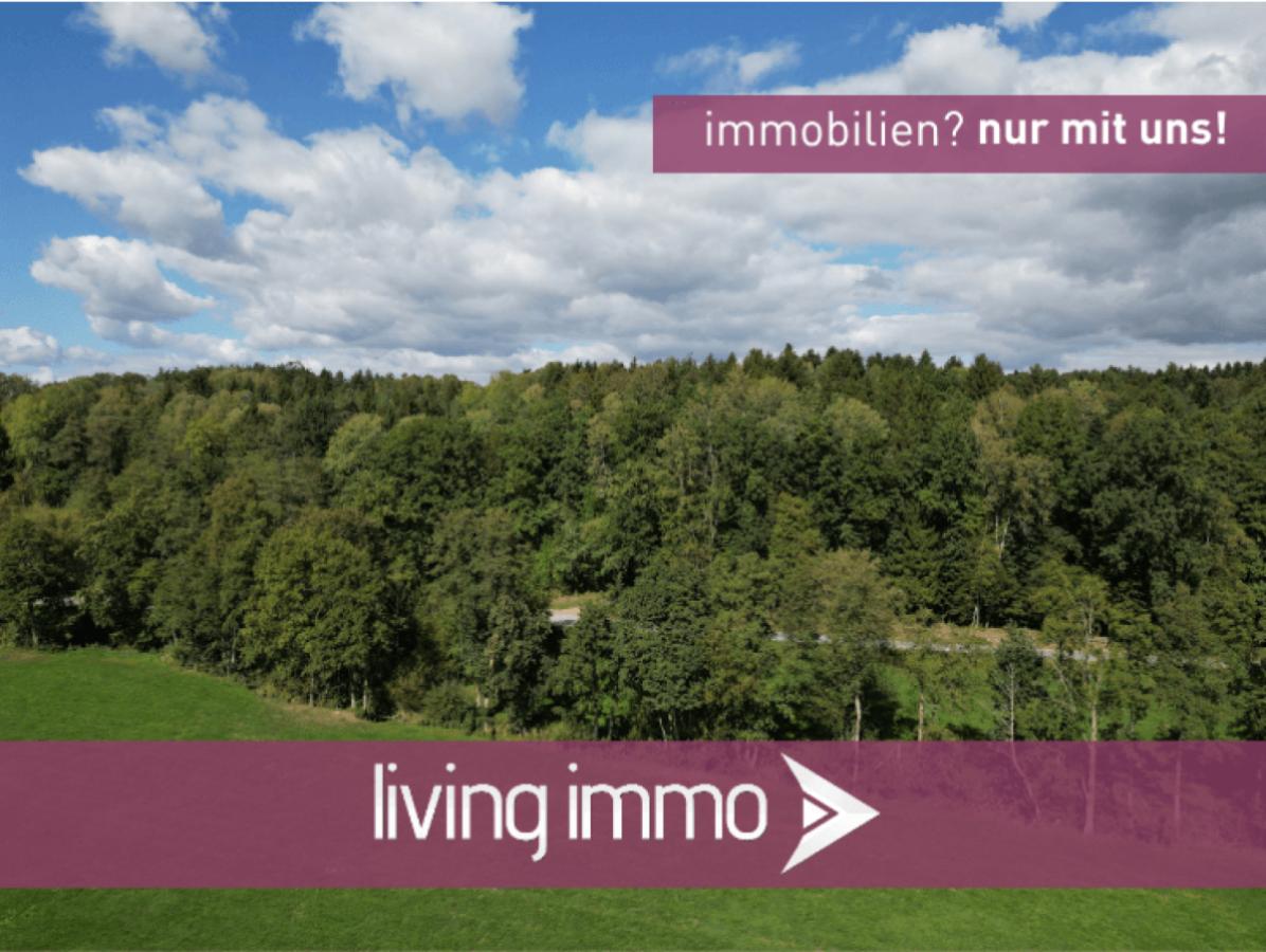 Mischwald 