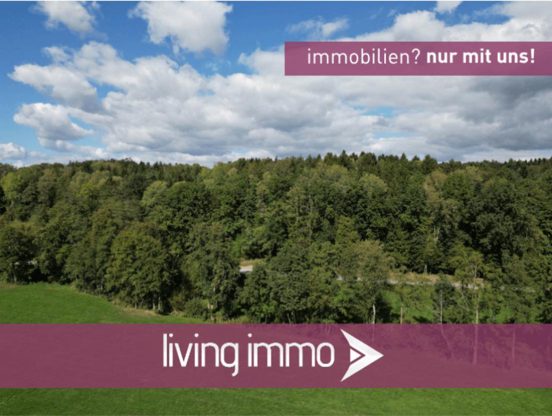 Mischwald 