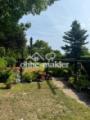 Blick in den Garten von der Te
