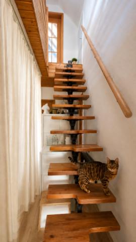 Treppe zum Dachgeschoss