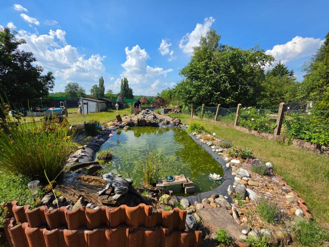 Gartenansicht (3)