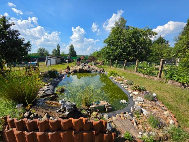 Gartenansicht (3)